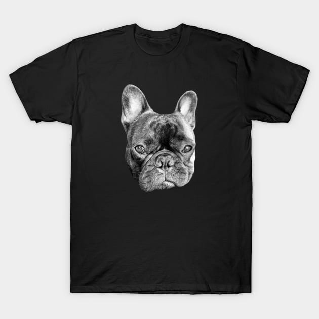 serious french bulldog puppy T-Shirt by Teeject